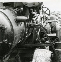 Photograph, Black-and-White